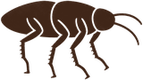 Live bug