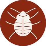Bedbug heat treatment icon