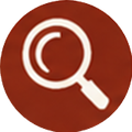 Property inspections icon