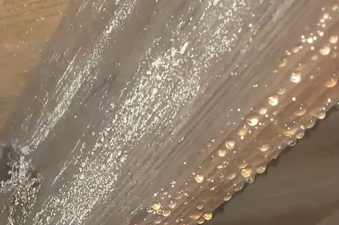 Moisture control work under a Middle Georgia property