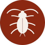 General pest control icon